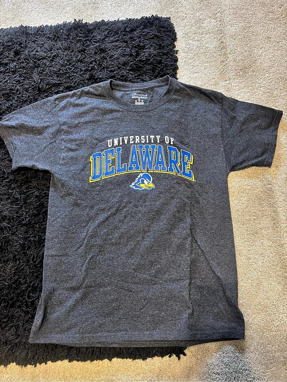 Champion University of Delaware Graphic T-Shirt Medium Gray